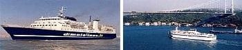 Dimaiolines