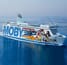 moby_lines_moby_freedom_tb